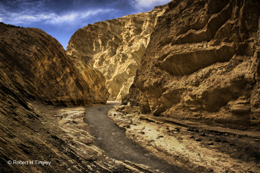 Golden Canyon #3199